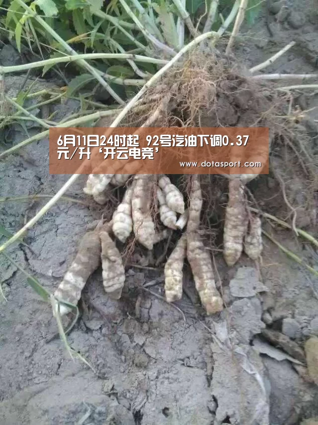 6月11日24时起 92号汽油下调0.37元/升‘开云电竞’(图3) 开云电竞平台