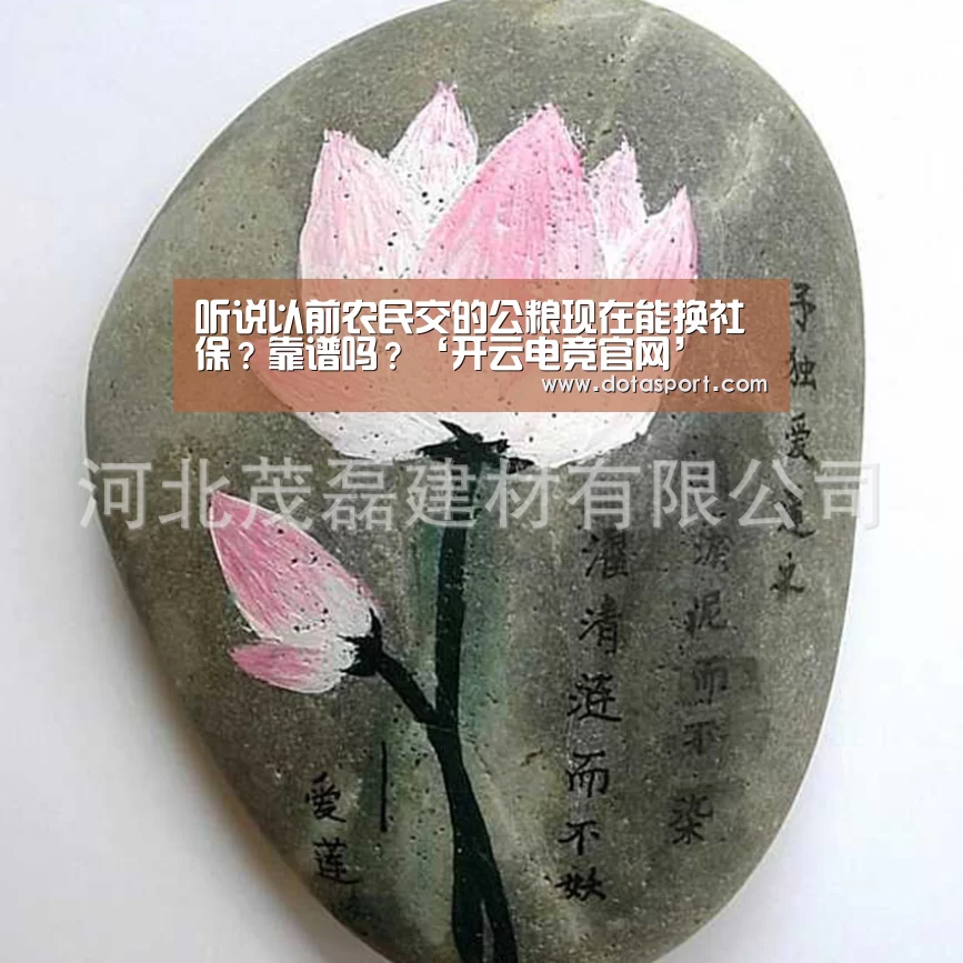 开云电竞官网